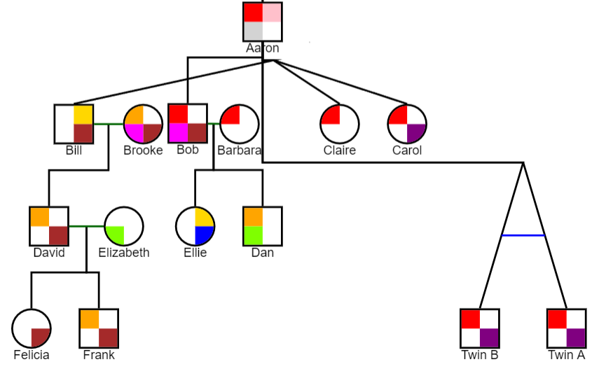 Identical Twins Are Positioned On The Last Generation In Genogram
